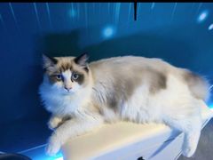 -零纪元VR体验馆·桌游(黄浦店)