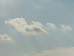 -千日贺茶餐厅(高新万达店)