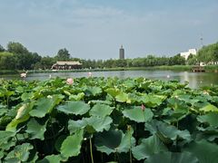 -西海子公园
