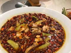 鲜椒牛蛙-乾园(天河城店)
