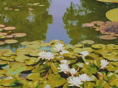 -国家植物园南园