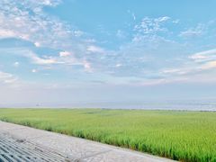 -南汇嘴观海公园