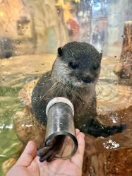 -Zoolung Zoolung动物主题公园(海信广场店)