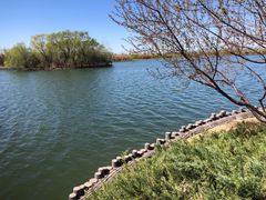 -大兴滨河森林公园