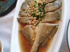 梅黄豆蒸黄鱼鲞-新镇江酒家(南京西路店)