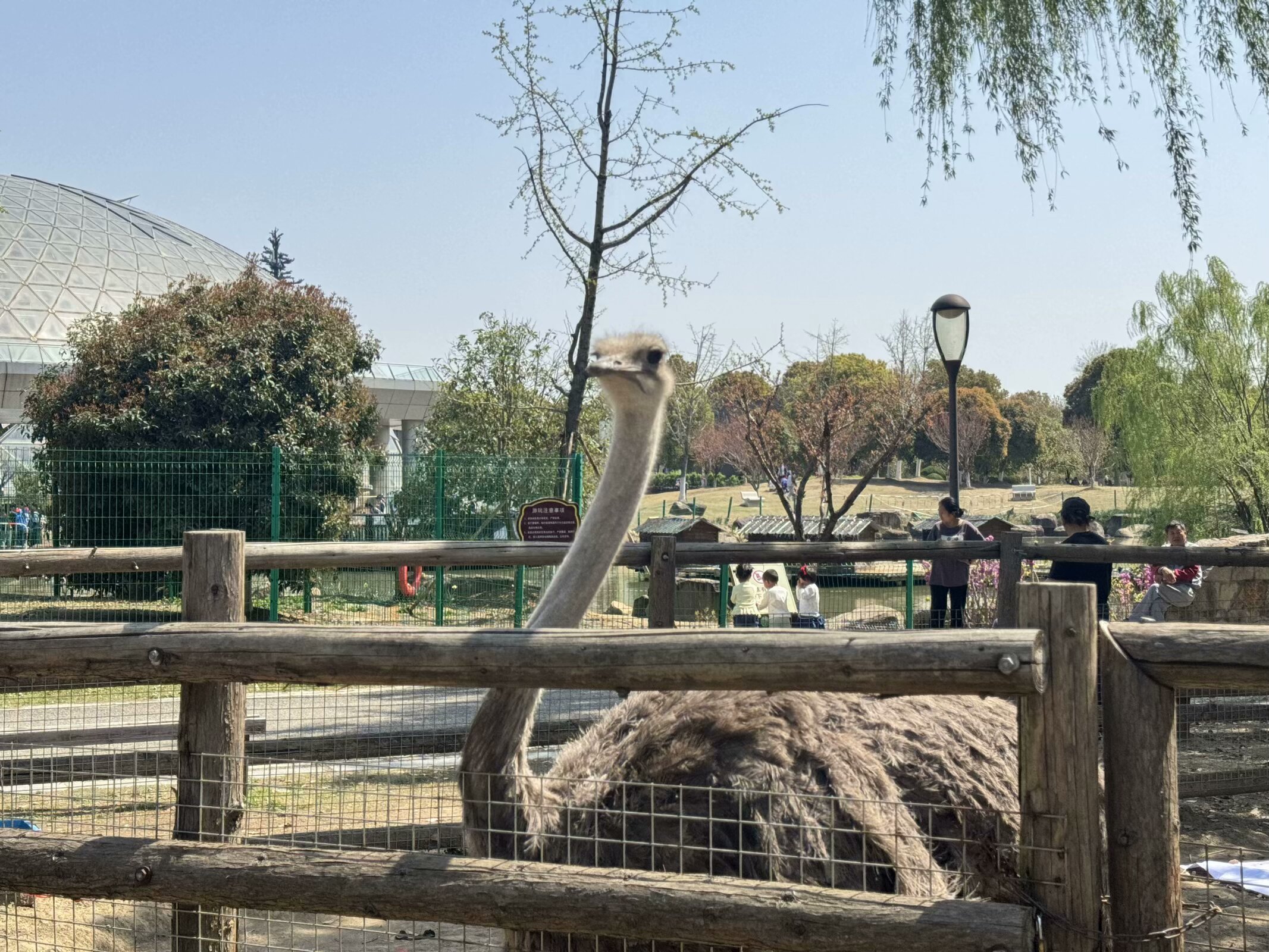 周末亲子游去哪儿