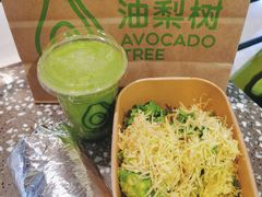 -油梨树AVOCADO TREE(嘉里中心店)