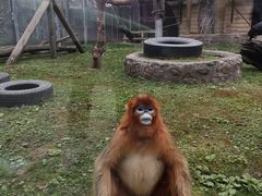 -西安秦岭野生动物园