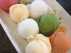 -莓园冰淇淋店