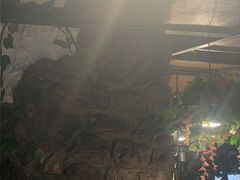 -龙抄手食府(浣花北路店)