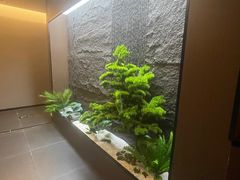 -耳妃躺式采耳SPA馆