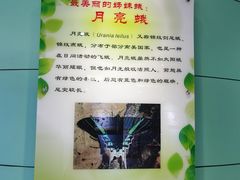 -上海昆虫博物馆