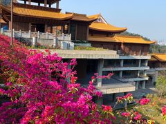 -深圳仙湖植物园