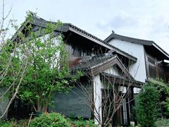 -同里国家湿地公园