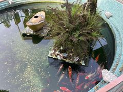 -灵顺寺