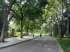 -莲花池公园
