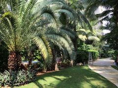 -三亚湾海居铂尔曼度假酒店