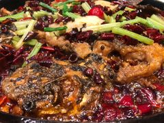 老板恋上鱼-老板恋上鱼(振华商厦店)
