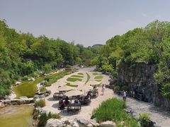 -吴淞炮台湾湿地森林公园烧烤区