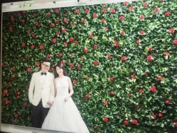 点击看大图 -韩国艺匠ARTIZ STUDIO(博览中心店)