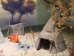 -中国湿地博物馆