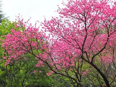 -白塘生态植物园