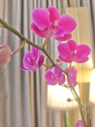 -艺米阳光Hair Salon