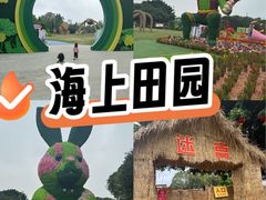 -海上田园