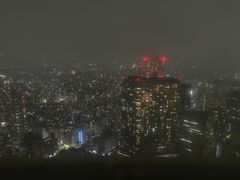 -东京都厅舍
