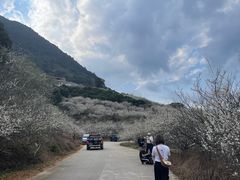 -广州市流溪河国家森林公园