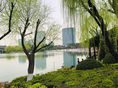 -大宁公园