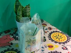 -泰茶清吾·老挝冰咖啡·绵绵冰(泉州首店)