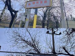 -颐和园