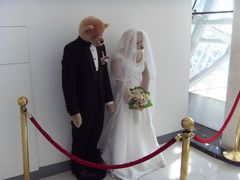 -济州岛泰迪熊博物馆