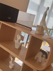 -广州粤秀医疗美容医院