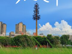 -红花山公园