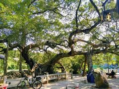 -小洲村