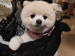 -诚品(信义店)