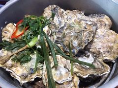 -千岛蚝高压锅生蚝·人参火锅(白云万达店)