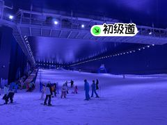 -世界之窗阿尔卑斯冰雪世界
