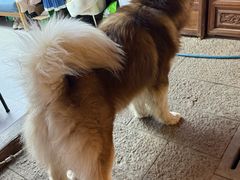 -滇藏石锅宴(崇仁巷老店)