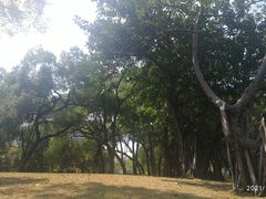 -晓港公园