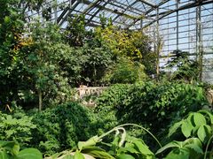 -南山植物园