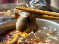 -丽江庭院·云南野生菌·海鲜火锅(鼓楼四合院店)