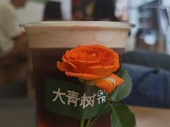 -大青树咖啡(大理古城店)