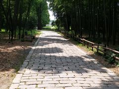 -同里国家湿地公园