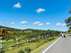 -大连铭湖国际观光牧场