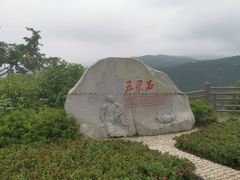-铁山坪森林公园