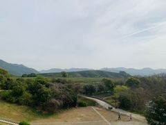 -龙坞茶村