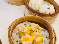 -美心皇宫(沙田大会堂店)